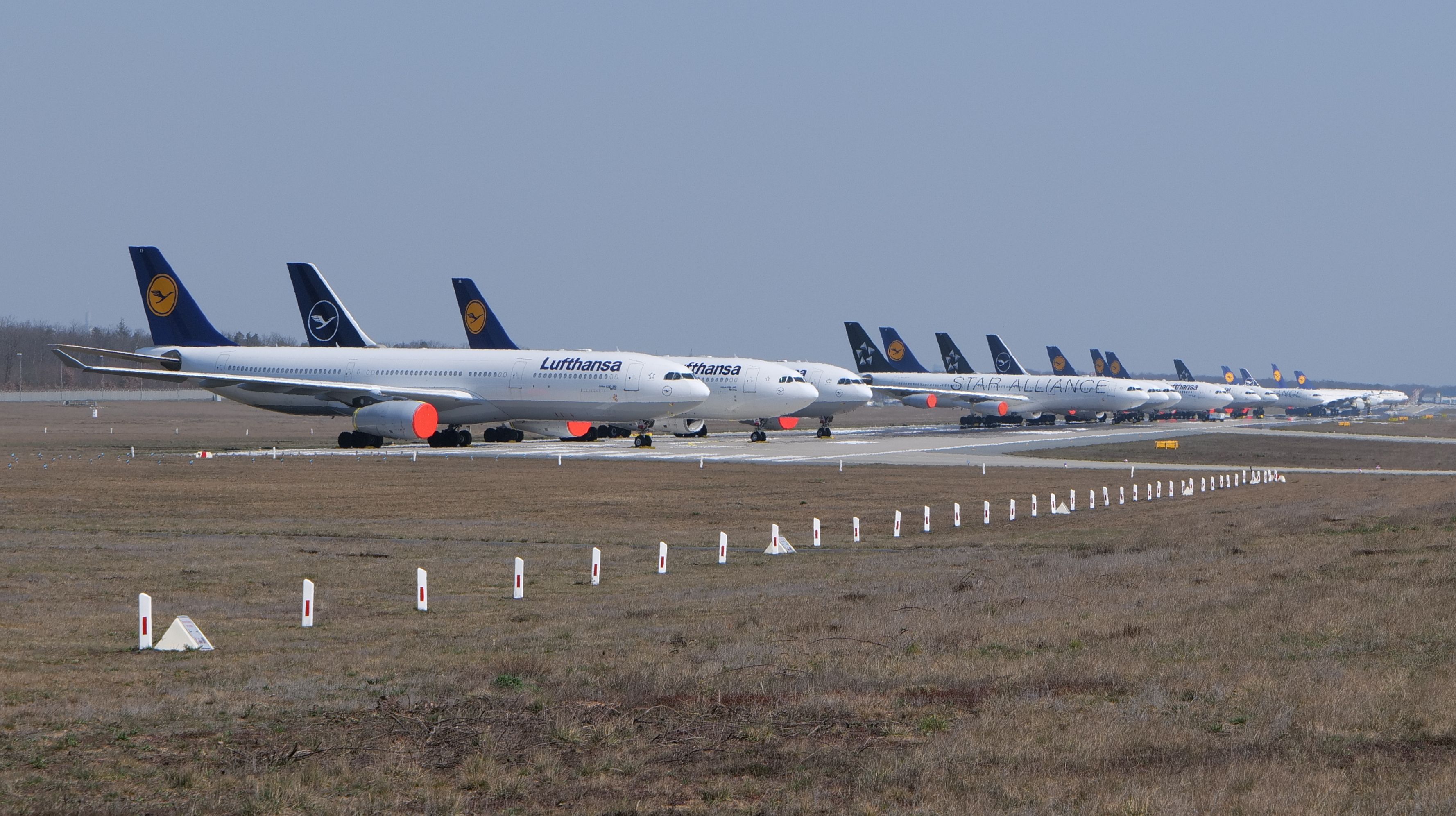 A long row of Lufthansa aircraft parked on a runway at Frankfurt Airport during the 2021-2022 ghost flight period.